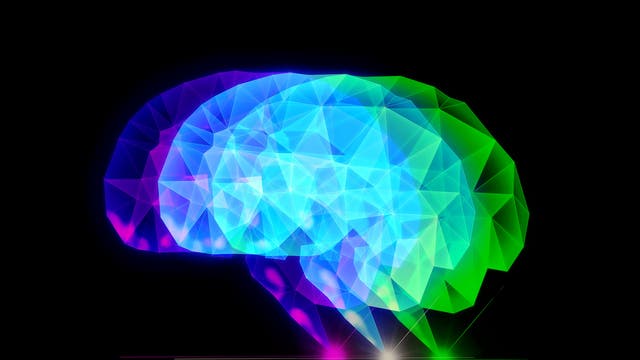 Eine abstrakte Darstellung eines menschlichen Gehirns, bestehend aus geometrischen Formen in leuchtenden Farben wie Blau, Grün und Violett, auf schwarzem Hintergrund. Die Farben verlaufen ineinander und erzeugen einen holografischen Effekt, der die Komplexität und Vernetzung des Gehirns symbolisiert. Unten sind Blitze in den gleichen Farben zu sehen, die auf neuronale Aktivität hinweisen.