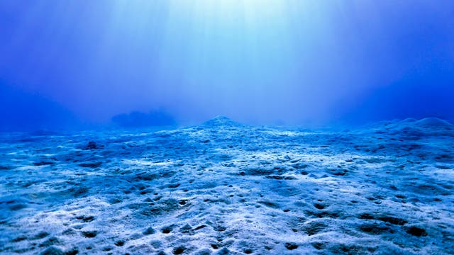 Unterwasseraufnahme eines Meeresbodens, der von Sonnenstrahlen beleuchtet wird. Die sandige Oberfläche ist uneben und erstreckt sich bis zum Horizont, wo das Wasser in ein tiefes Blau übergeht. Die Lichtstrahlen erzeugen ein sanftes, diffuses Leuchten im Wasser.