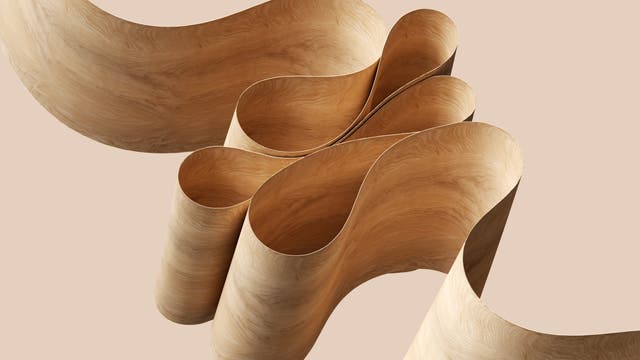 Ein feines Band aus geschwungenem Holz, das in fließenden, wellenartigen Formen liegt. Die Oberfläche des Holzes zeigt eine natürliche Maserung, die den organischen Charakter der Skulptur betont. Der Hintergrund ist einfarbig beige, was die geschwungenen Linien und die Textur des Holzes hervorhebt.