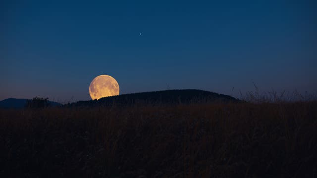 Vollmond direkt am Horizont über sanften Hügeln.