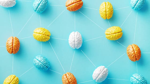 Bunte Gehirne liegen auf türkisfarbenem Untergrund und sind durch weißgestrichelte Linien untereinander wie in einem Netzwerk verbunden.