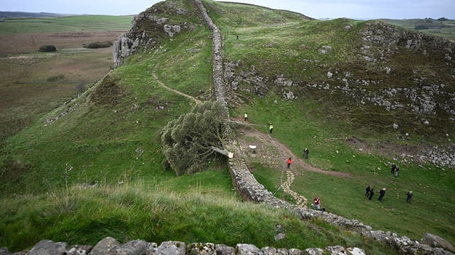 Eine Landschaft mit einer alten Steinmauer, die sich über einen grasbewachsenen Hügel erstreckt. Ein umgestürzter Baum liegt neben der Mauer. Mehrere Personen sind auf dem Weg und der Wiese verteilt, einige machen Fotos. Der Himmel ist bewölkt, und die Umgebung ist von weiten Feldern und Hügeln geprägt.
