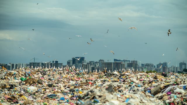 Foto einer Plastikmülldeponie, über der Möwen kreisen. Im Hintergrund die Silhouette einer Großstadt.