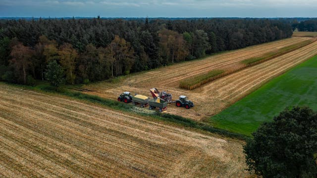 Ein Bauer auf dem Feld beim Heuwenden, Luftaufnahme mit Wald im Hintergrund.