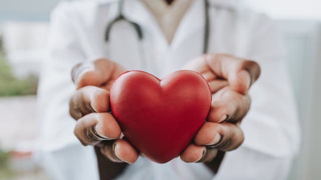 Ein Arzt in einem weißen Kittel hält ein rotes Herzmodell in den Händen, das symbolisch für Herzgesundheit und medizinische Fürsorge steht. Im Hintergrund ist ein Stethoskop sichtbar, das um den Hals des Arztes hängt.