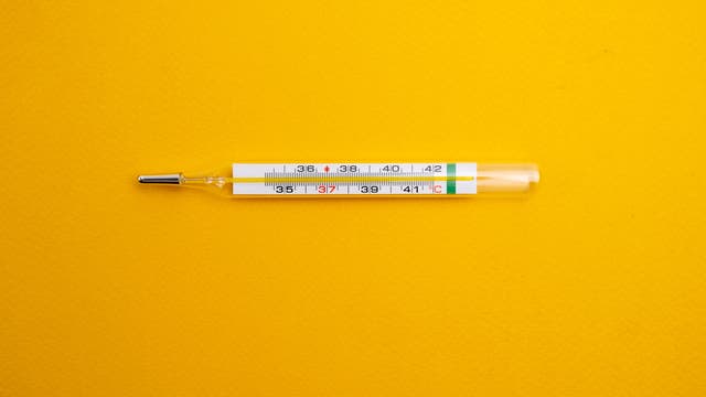 Ein Glasthermometer liegt auf einem leuchtend gelben Hintergrund. Die Skala zeigt Temperaturen von 35°C bis 42°C an, wobei der rote Quecksilberfaden bei etwa 37°C steht.