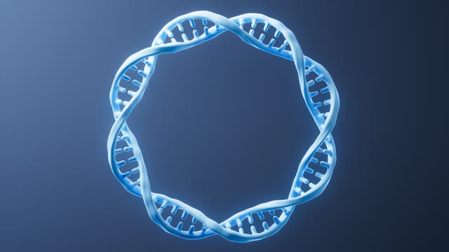 DNA-Ring