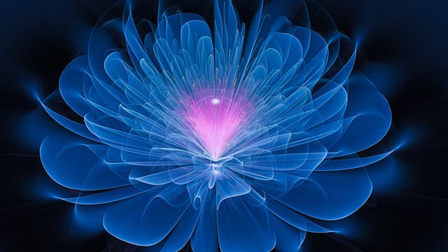 Eine digitale Illustration zeigt eine abstrakte Blume mit leuchtenden, durchscheinenden Blütenblättern in Blau und einem strahlenden, pinkfarbenen Zentrum. Die Blume wirkt dreidimensional und schwebt vor einem dunklen Hintergrund, was einen leuchtenden Kontrast erzeugt. Die Komposition vermittelt ein Gefühl von Energie und Bewegung.