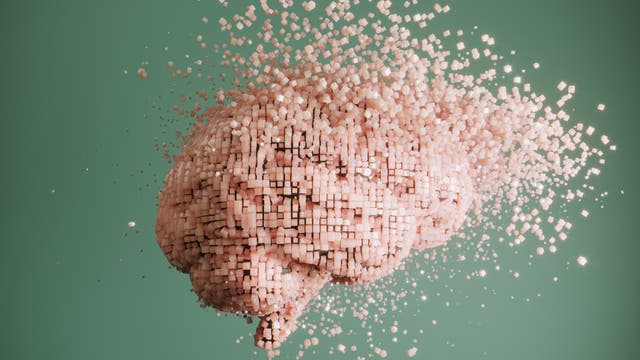 Eine 3D-Darstellung eines Gehirns, das aus zahlreichen kleinen Würfeln besteht, die sich in alle Richtungen auflösen. Der Hintergrund ist einfarbig grün, was den Fokus auf die detaillierte Struktur des Gehirns lenkt. Die Würfel symbolisieren möglicherweise die Zerlegung oder Analyse von Gehirnstrukturen.