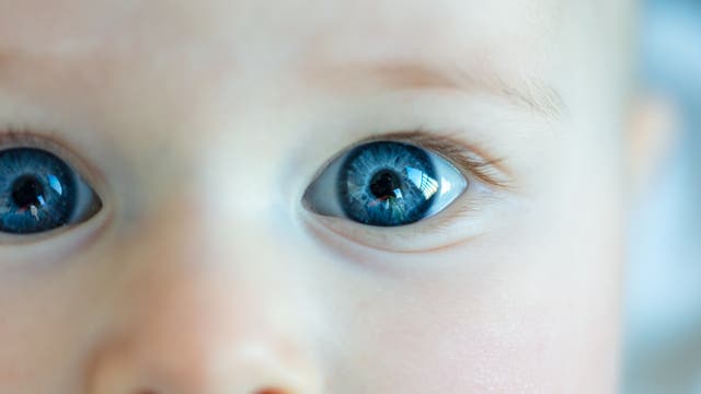 Nahaufnahme eines Babys mit großen, leuchtend blauen Augen, die direkt in die Kamera blicken. Das Bild zeigt die Details der Iris und die Reflexionen im Auge. Der Hintergrund ist unscharf, wodurch der Fokus auf dem Gesichtsausdruck des Babys liegt.