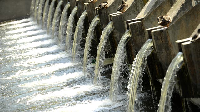 Eine Reihe von Enten sitzt auf den Betonbarrieren eines Wehrs, während Wasser in gleichmäßigen Strömen über die Kanten fließt. Die Szene zeigt die Dynamik des Wassers und die Ruhe der Enten, die auf den Barrieren ruhen. Die Struktur des Wehrs und die Bewegung des Wassers sind zentrale Elemente des Bildes.