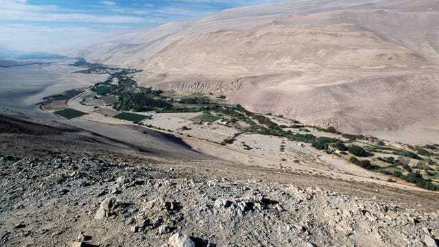 Weitläufige Wüstenlandschaft mit einem grünen Tal, das sich durch die Mitte zieht. Das Tal enthält landwirtschaftliche Felder und Bäume, die sich von der trockenen, felsigen Umgebung abheben. Im Hintergrund sind sanfte Hügel und ein klarer blauer Himmel zu sehen.