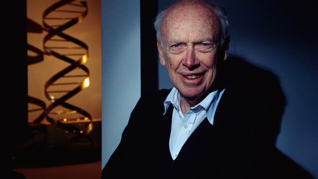 James Watson in einem weißen Hemd und dunklem Pullover steht lächelnd vor einer dunklen Kulisse. Links im Bild ist eine große, stilisierte Darstellung einer DNA-Doppelhelix zu sehen, die im Licht schimmert. Die Szene vermittelt eine wissenschaftliche Atmosphäre.