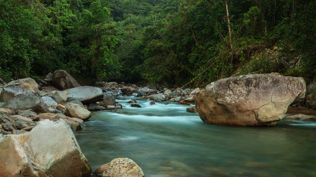 Ein schäumender Wildfluss strömt durch ein enges Andental. Im Flussbett liegen zahlreiche Felsblöcke, die Hänge sind mit dichtem Regenwald bedeckt