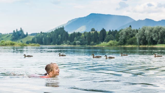 Ein Kind schwimmt in einem ruhigen See, umgeben von einer Gruppe Enten. Im Hintergrund sind bewaldete Hügel und Berge unter einem bewölkten Himmel zu sehen. Die Szene vermittelt eine friedliche und natürliche Atmosphäre.