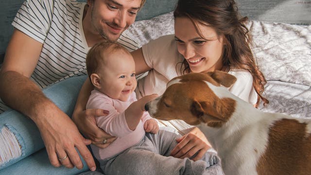 Glückliche Familie mit einem Baby und einem Hund