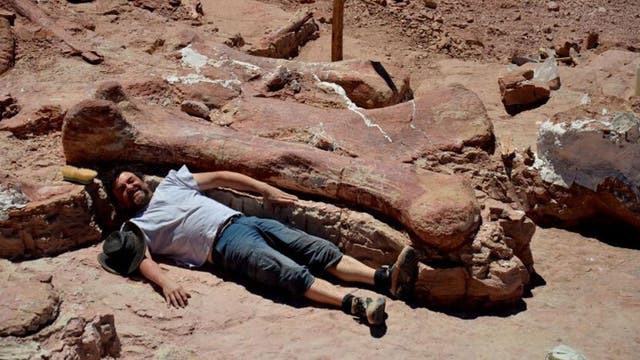 Gigantosaurier - ein noch namenloser Riese aus Patagonien