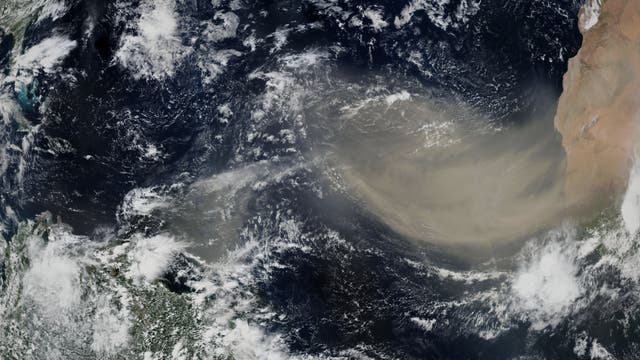 Eine gelblich braune Staubwolke driftet von der Sahara rechts nach links auf den dunkelblauen Atlantik hinaus. Im Satellitenbild sieht man auch einzelne weiße Wolken