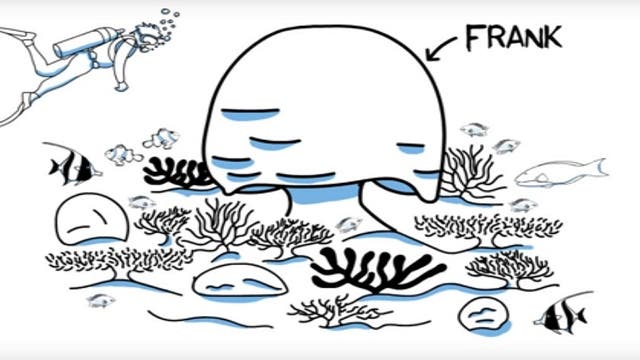 Coral Bleaching Explained: The Story of Frank the Coral
