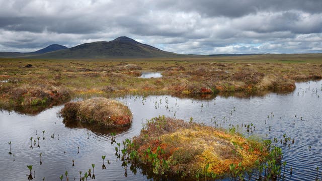 Forsinard-Flows-Naturreservat in Schottland