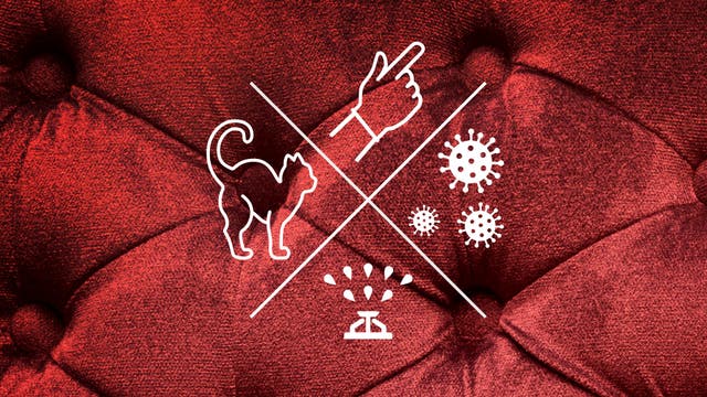 Symbole vor rotem Plüsch: Rasensprenger und Katze, Finger und Viren