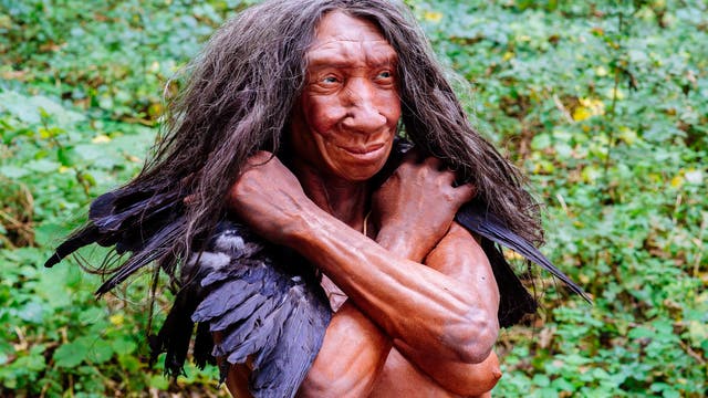 Frühe Europäerin. Modell einer Neandertalerin.