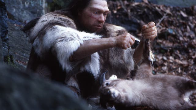 Neandertal-Jäger bei der Tierverarbeitung