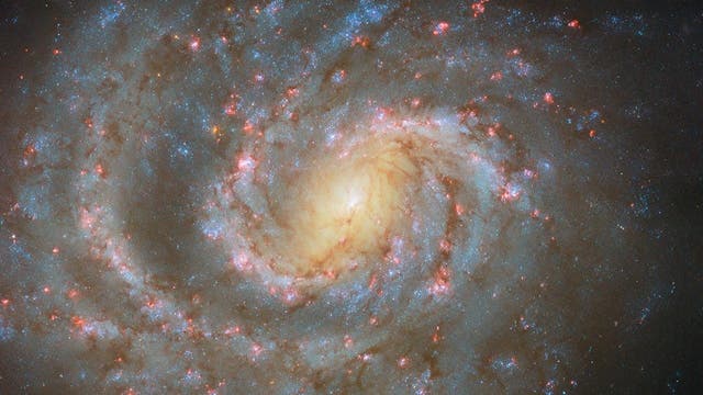 Eine Spiralgalaxie mit einem hellen, leuchtenden Zentrum und ausgedehnten, spiralförmigen Armen, die mit blauen und roten Sternen übersät sind. Die Galaxie ist von einem dunklen Weltraumhintergrund umgeben, in dem vereinzelt weitere Sterne zu sehen sind. Die Struktur der Galaxie zeigt deutlich die spiralförmige Anordnung der Sterne und interstellaren Materie.