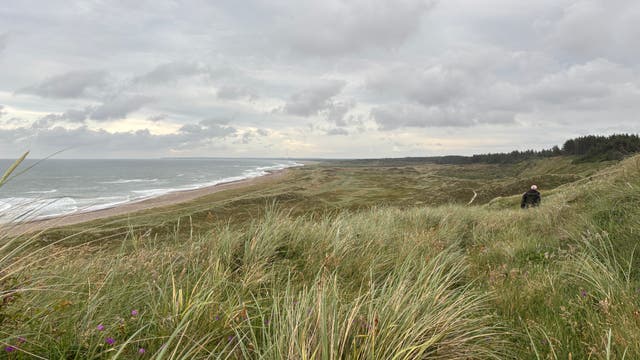 Küstenlandschaft mit Blick auf das Meer und eine weitläufige Dünenlandschaft. Im Vordergrund sind hohe Gräser und vereinzelte violette Blumen zu sehen. Eine Person in dunkler Kleidung geht durch die Dünen. Der Himmel ist bewölkt, und die Küstenlinie erstreckt sich bis zum Horizont.