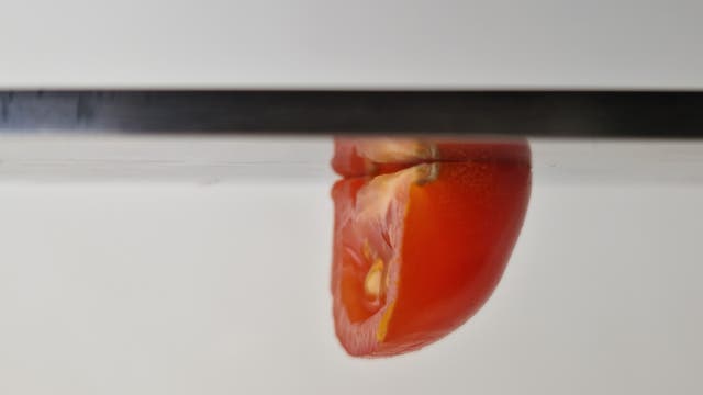 Eine Tomate hängt Kopfüber an einem Stück Metall.