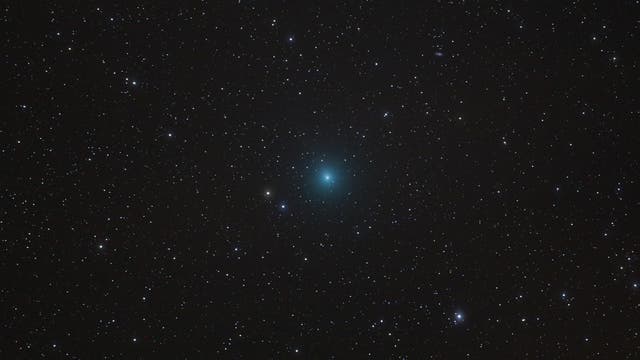 Der Komet Wirtanen Ende November 2018