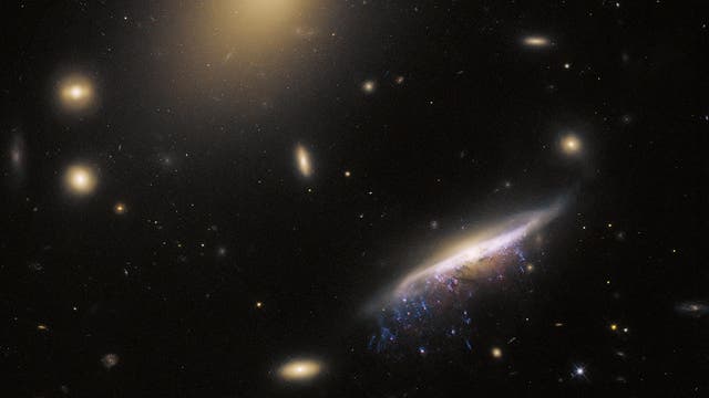 Spiralgalaxie, Hubble-Typ Sc., Qualle