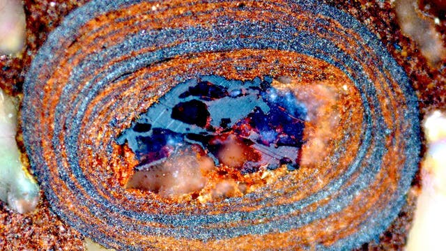 Nahaufnahme eines Gesteins mit konzentrischen, ovalen Schichten in verschiedenen Brauntönen, die einen blauen, kristallinen Kern umgeben. Die Textur der Schichten variiert von glatt bis körnig. Das Bild zeigt die natürliche Struktur und Farbvielfalt des Gesteins.