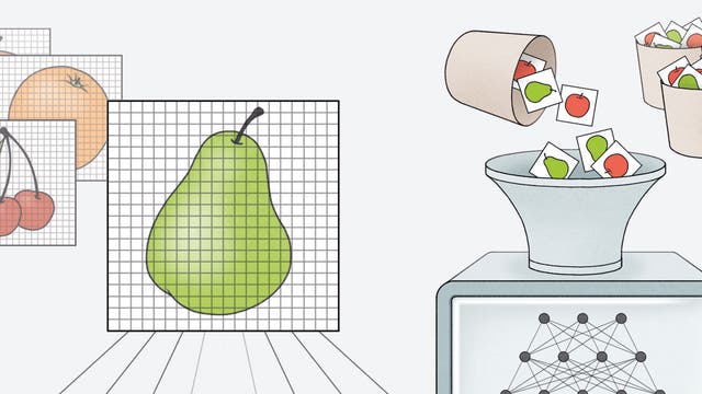 Eine Illustration, die den Prozess der Bildverarbeitung in einem neuronalen Netzwerk darstellt. Links sind verschiedene Früchte wie ein Apfel, eine Orange, Kirschen und eine Birne auf Gittern abgebildet. Diese Bilder werden in ein neuronales Netzwerk eingespeist, das durch ein Diagramm mit verbundenen Knoten dargestellt wird. Rechts werden die verarbeiteten Bilder in Kategorien sortiert, wobei ein Trichter die Bilder in zwei Behälter leitet, die mit Symbolen für Äpfel und Birnen gekennzeichnet sind. Die Illustration zeigt den Prozess der Klassifizierung und Sortierung von Bildern durch maschinelles Lernen.