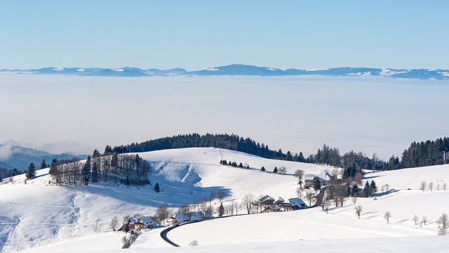 Inversionswetterlage im Schwarzwald: Während die Gipfel im Sonnenschein baden, hängt im Tal der Nebel