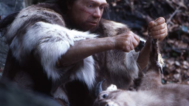 Neandertaler war Homo sapiens zahlenmäßig unterlegen