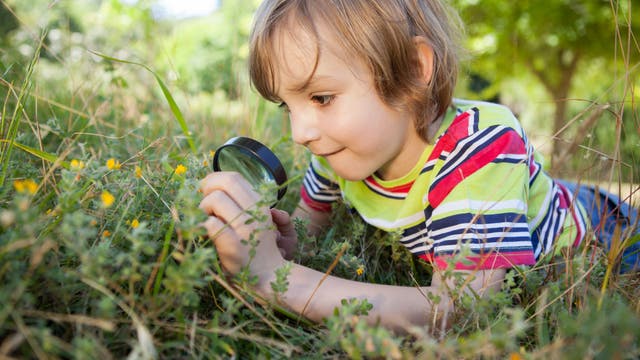 Kind mit Lupe beobachtet Insekten