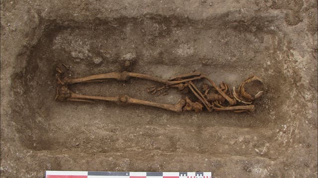 Mittelalterliches Skelett