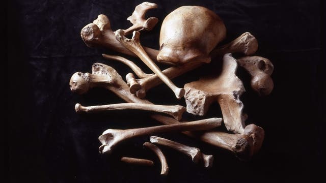 Neandertaler war schon vor Ankunft des Homo sapiens fast ausgestorben