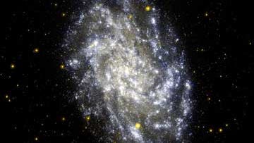 M33 ultraviolett (Galex)