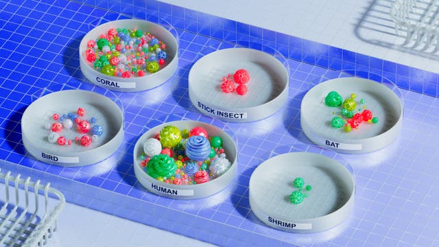 Plastikmodelle für die Mikrobiome verschiedener Tiere
