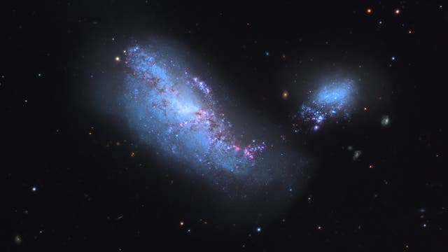 Galaxien NGC 4490 (links) und NGC 4485 (rechts)