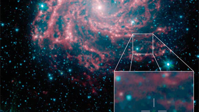 Die Supernova 2008S in der Spiralgalaxie NGC 6946