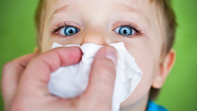 Kind bekommt Nase geputzt