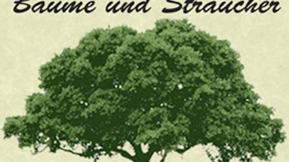 Nature-Lexicon Bäume und Sträucher