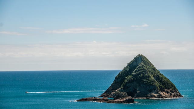 Fels vor Neuseelands Küste