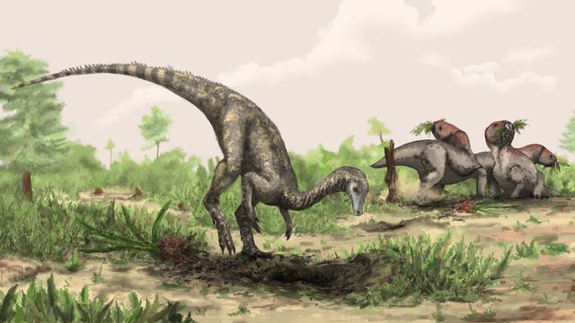 Die Illustration einer prähistorischen Szene zeigt einen Dinosaurier, der mit seiner Schnauze im Boden gräbt, umgeben von üppiger Vegetation. Im Hintergrund sind drei weitere Dinosaurier zu sehen, die Pflanzen fressen. Der Himmel ist bewölkt, die Umgebung wirkt grün und lebendig.