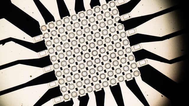 Ein Schaltkreis-Diagramm zeigt ein komplexes Gitter aus miteinander verbundenen quadratischen Elementen, die in einem symmetrischen Muster angeordnet sind. Von jedem Element führen schwarze Leiterbahnen radial nach außen. Das Bild veranschaulicht die Struktur und Verbindungspunkte eines elektronischen Schaltkreises, der für die Signalverarbeitung oder Datenübertragung verwendet werden könnte.