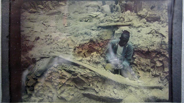 Fossiliengrabung am Tendaguru zwischen 1909 und 1913. Der Text auf dem Diapositiv lautet: »Oberaufseher präpariert große Rippe.«
