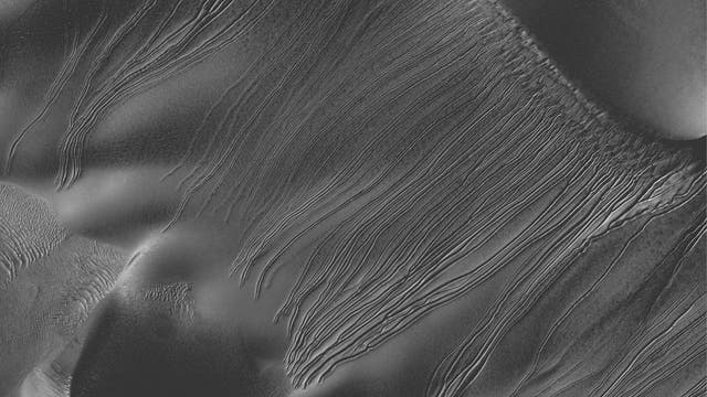 Lineare Furchen auf Marsdünen